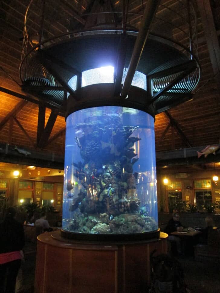 We Put Care, Craftsmanship, & Creativity Into Every Aquarium
