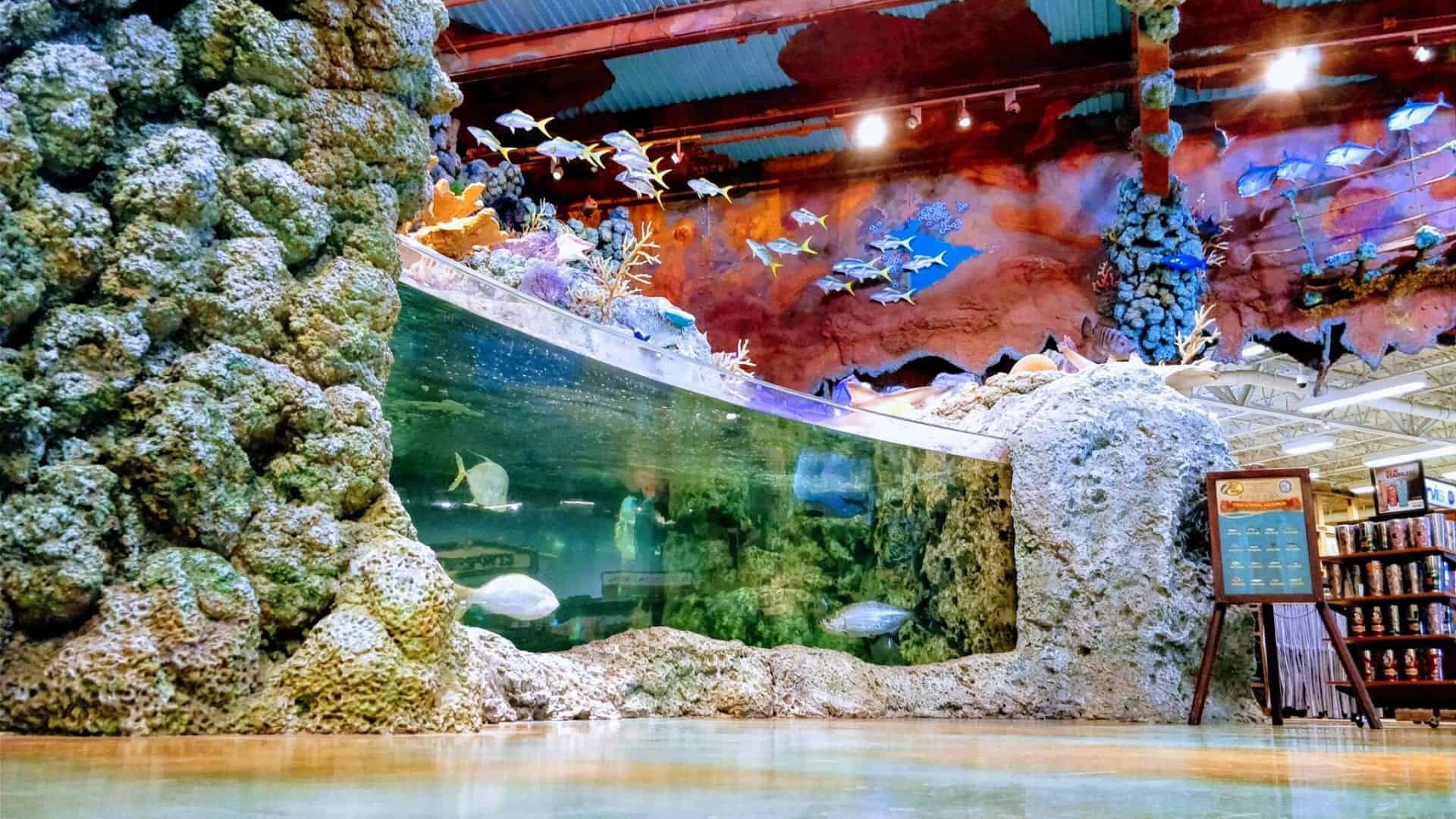 commercial aquarium