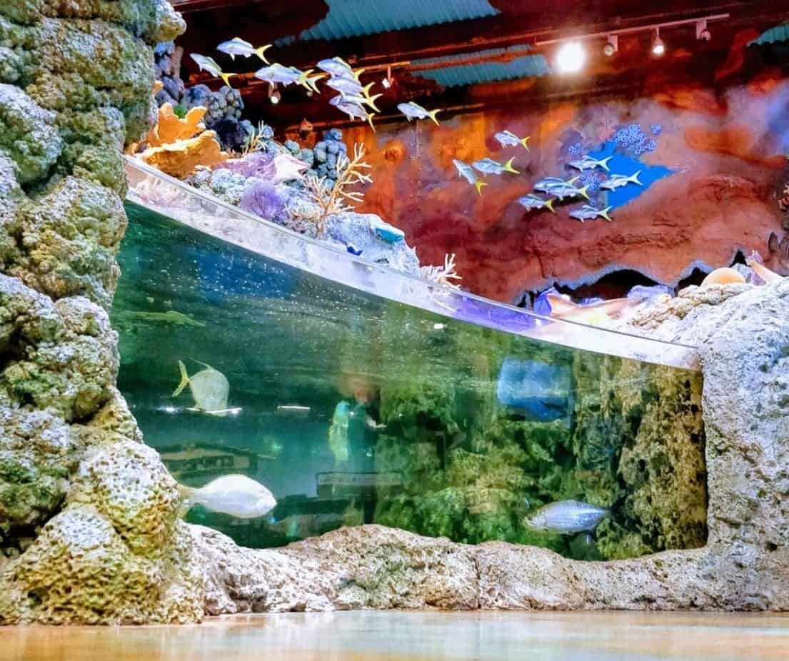 We Put Care, Craftsmanship, & Creativity Into Every Aquarium
