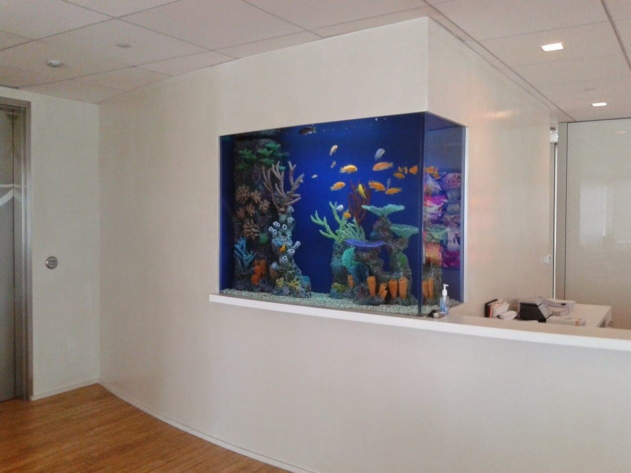 home fish tanks