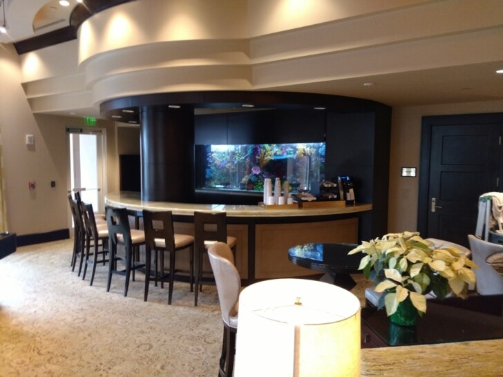 custom-commercial-aquarium-for-restaurants