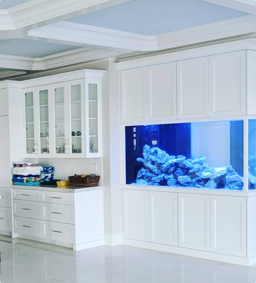 Make Your Fish Tank A Feature Of Your Home